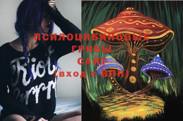 тгк Приозерск