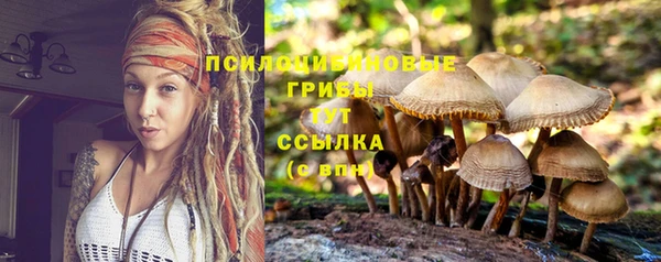таблы Протвино