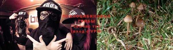 таблы Протвино