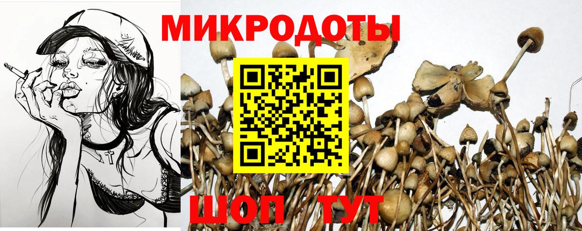 Псилоцибиновые грибы прущие грибы Шарыпово